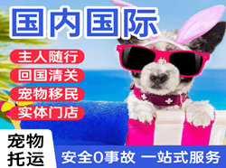 济南遥墙国际宠物托运 【国